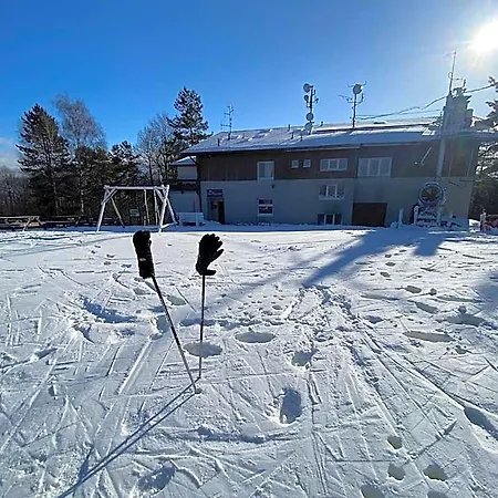 宾馆 Svinec 3*