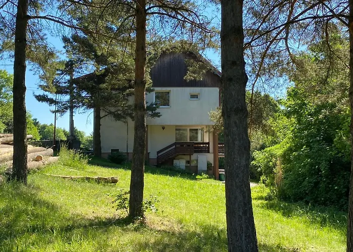 Svinec Zajazd Nový Jičín