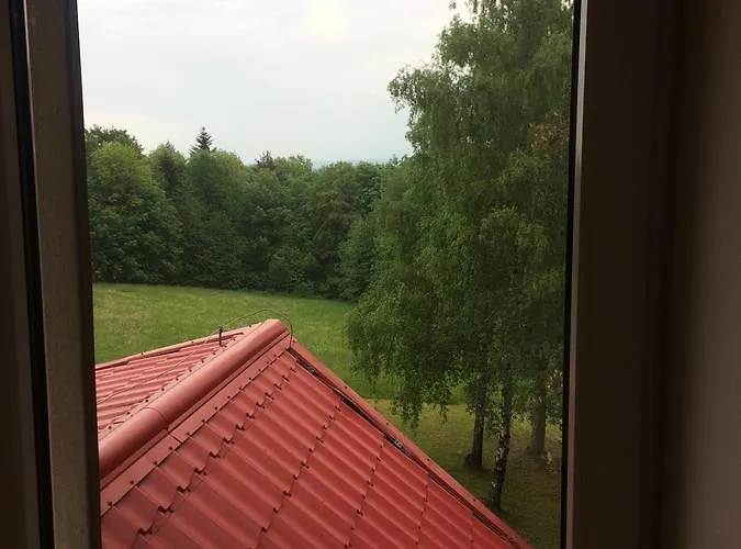 Svinec Nový Jičín